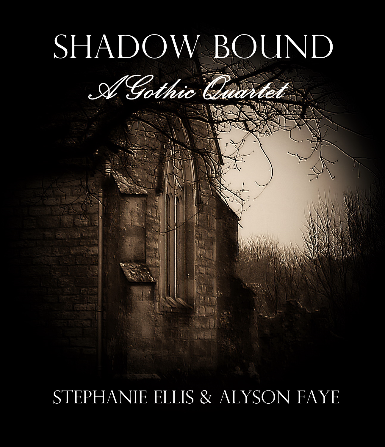 FayeEllis_ShadowBound